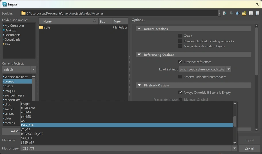 Importing IGES files in Maya